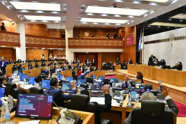 Hubo reproches en la Legislatura por la “invasión de DNU” de parte del Poder Ejecutivo