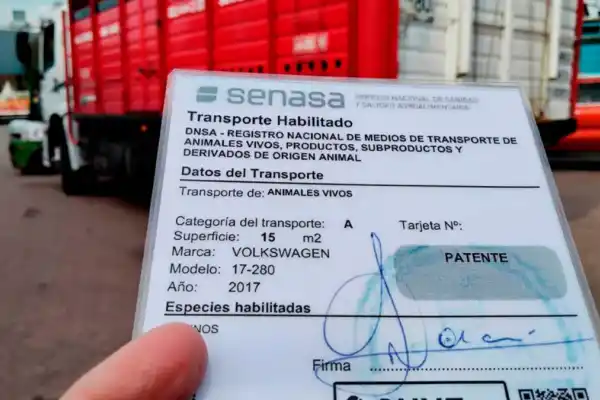 El Senasa actualizó las normas para el transporte de animales vivos y productos agroalimentarios
