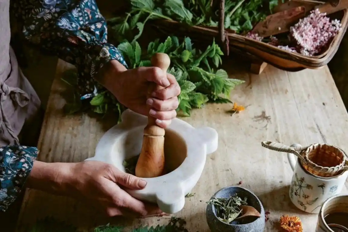 LifeStyle: Tu jardín, medicina natural