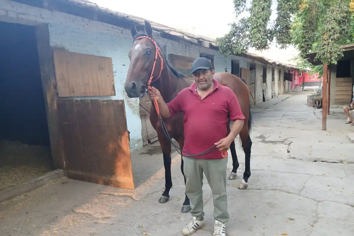 ENTRENADOR. Marcelo Suárez presentará a 12 ejemplares durante la jornada del próximo miércoles en el hipódromo tucumano.