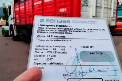Exigencias sanitarias: nueva habilitación de transportes de animales vivos y productos