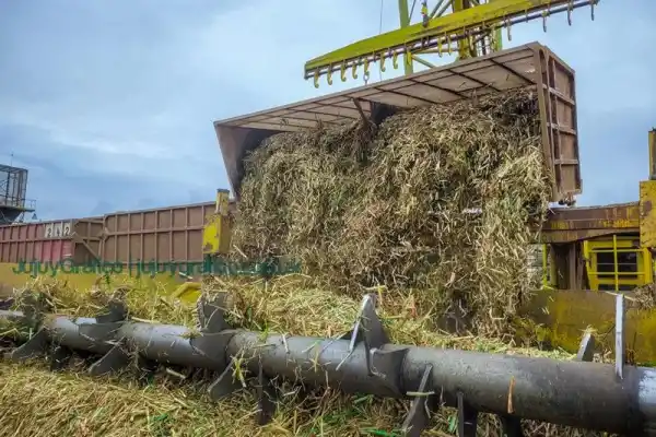 Las fábricas de azúcar de Salta y de Jujuy llevan producidas casi 342.000 toneladas de azúcar