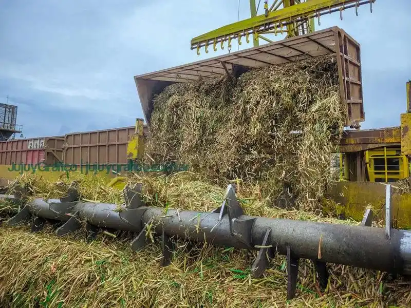 NIVEL PAÍS. Hasta ahora, la Argentina molió casi 20 millones de caña bruta.