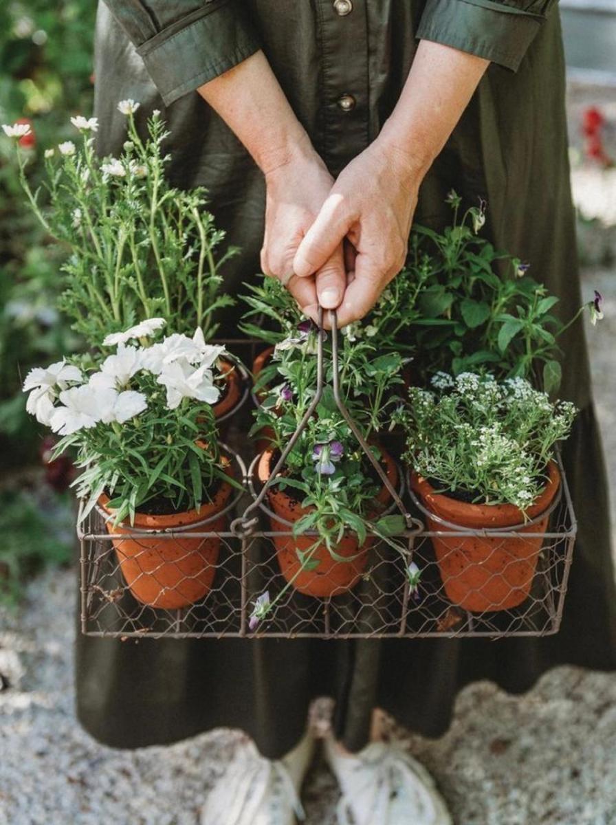 LifeStyle: Tu jardín, medicina natural