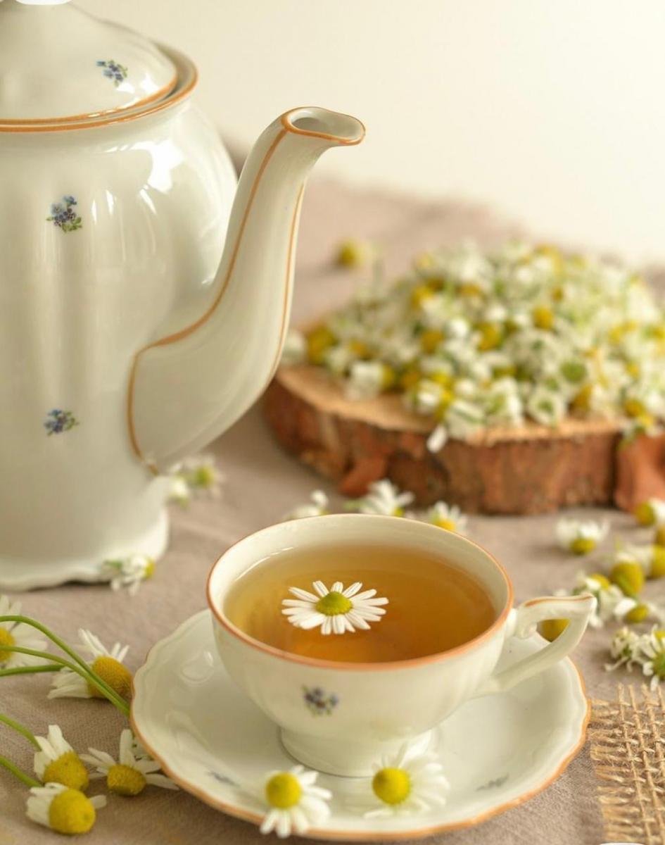 LifeStyle: Tu jardín, medicina natural