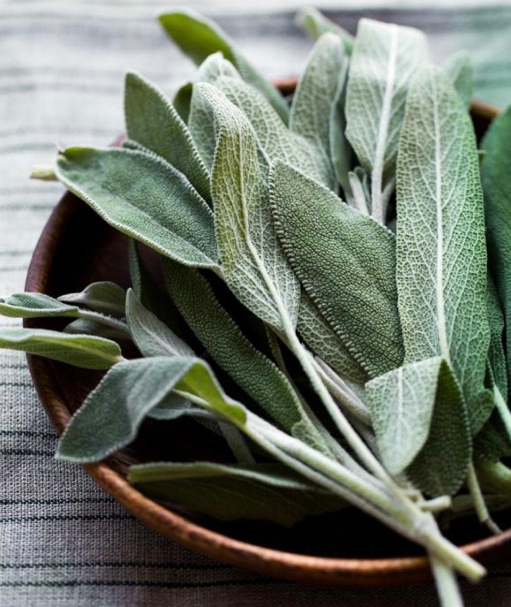 LifeStyle: Tu jardín, medicina natural