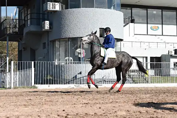 Jorge Ricardo, la leyenda que competirá en el “Batalla”