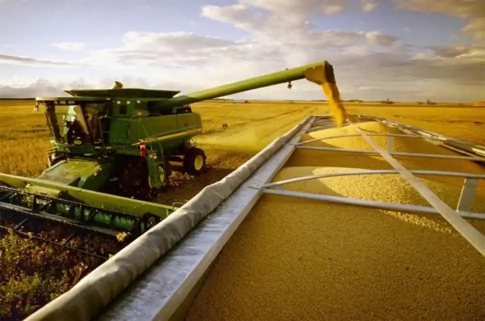 El impacto de la eliminación de las retenciones será bajo en el campo tucumano