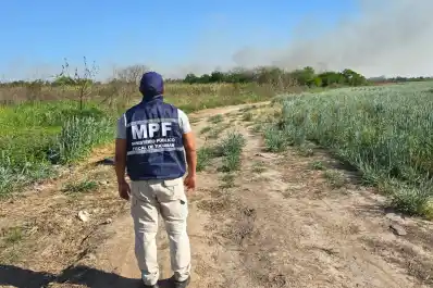 Hubo un nuevo incendio de cañaverales en Los Aguirre