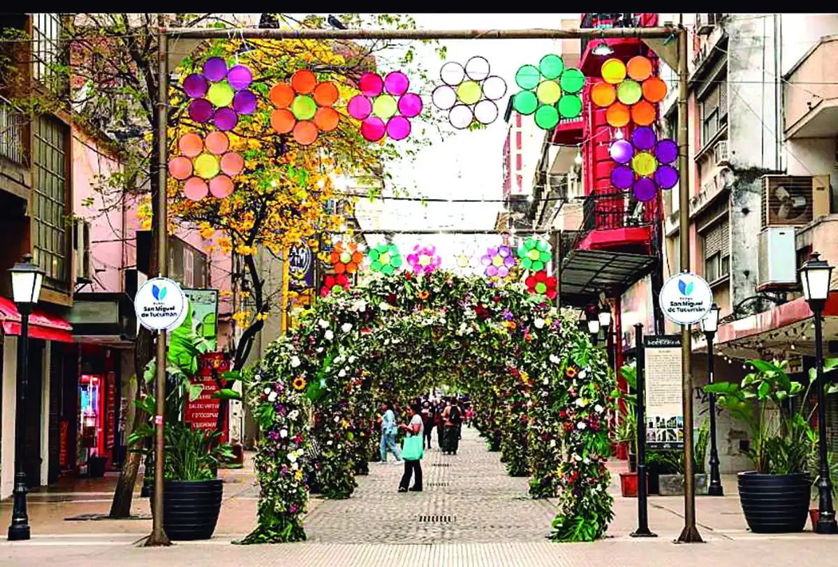 Cartas de lectores: Flores robadas en la primera cuadra de la peatonal Congreso