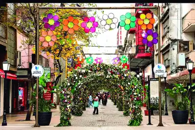 Cartas de lectores: Flores robadas en la primera cuadra de la peatonal Congreso