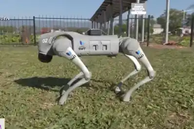 Así es Chan Bachi, el nuevo robot de la Municipalidad para vigilancia y educación ambiental