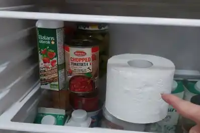 Para qué sirve guardar un rollo de papel higiénico en la heladera: la razón detrás de este insólito e infalible truco