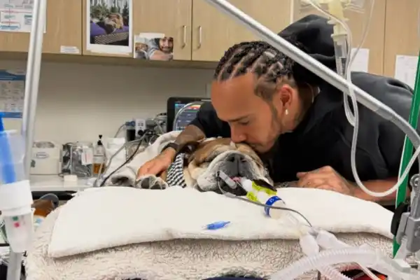 “Téngalo presente en sus pensamientos y oraciones”: el desesperante momento de Hamilton por su mascota