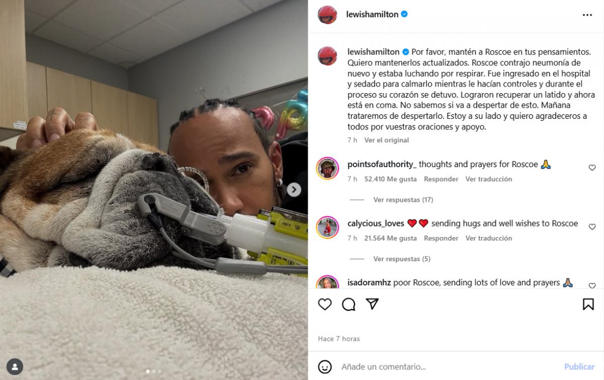 No sabemos si va a despertar de esto: la dolorosa noticia que recibió Lewis Hamilton