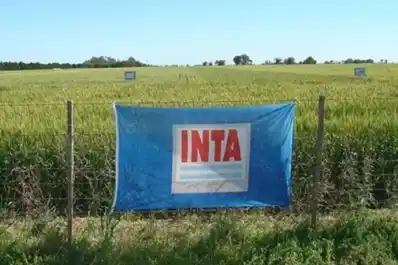 El Gobierno nacional formalizó designaciones en entes clave