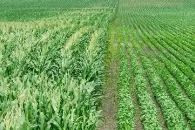 Las economías regionales y las retenciones