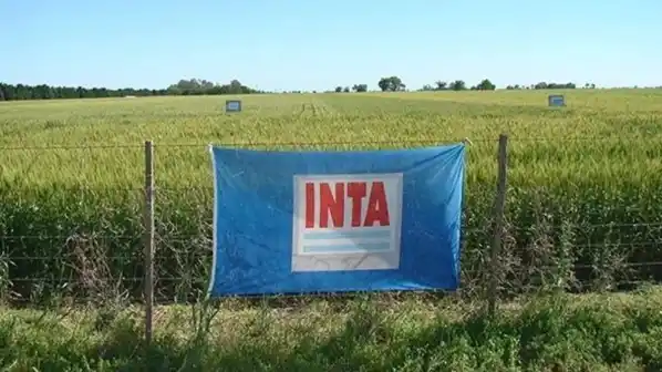 El Gobierno nacional formalizó designaciones en entes clave