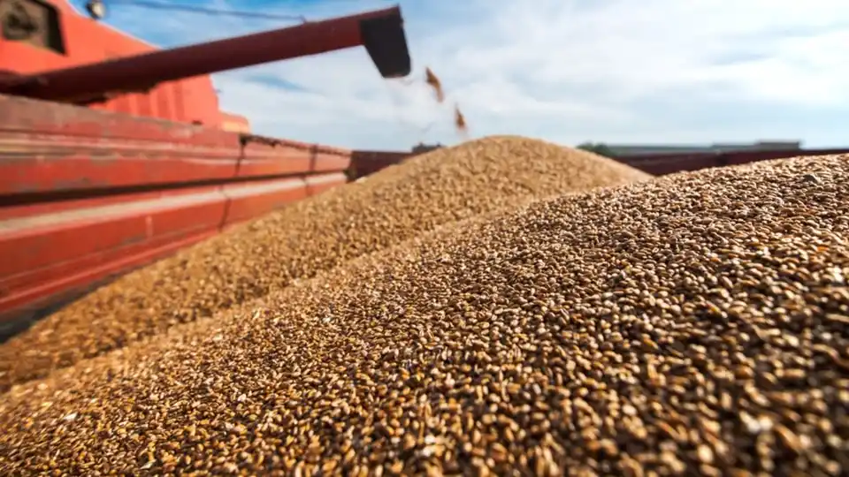 UNAS 72 HORAS. La medida regía hasta el 31 de octubre o hasta que se registren exportaciones por U$S 7.000 millones; y esto último ocurrió a tres días de la entrada en vigencia del decreto.