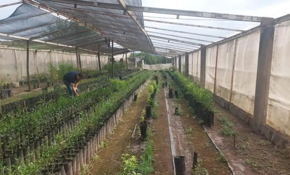 EN ACCIÓN. Se hizo una inspección ocular y una verificación documental.