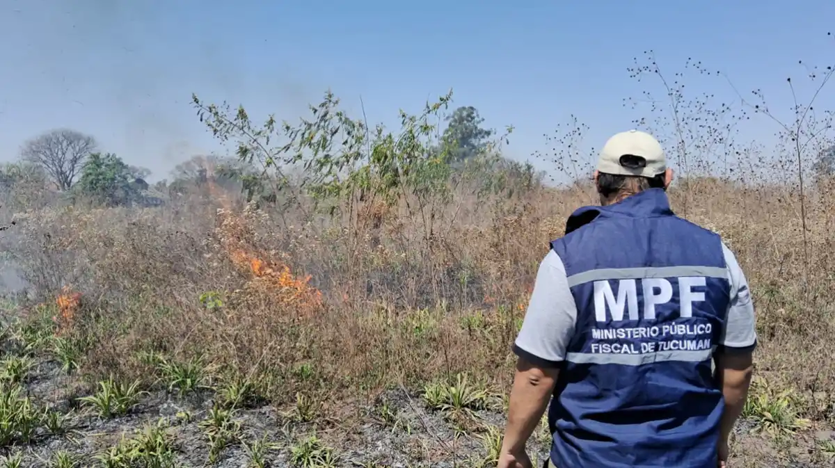 Tucumán: importante incendio de caña y pastizales avanzó sobre propiedades y generó alarma en Los Vallistos