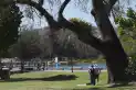El tiempo en Tucumán: mucho sol para cerrar un fin de semana cálido y primaveral