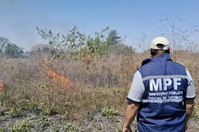 Tucumán: importante incendio de caña y pastizales avanzó sobre propiedades y generó alarma en Los Vallistos