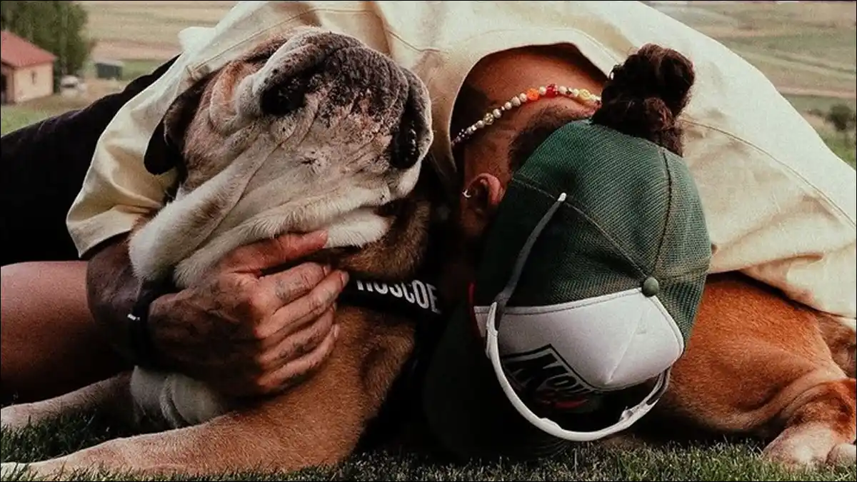 CONMOVEDOR ADIÓS. Hamilton compartió imágenes con Roscoe, el bulldog que se volvió ícono en el paddock y murió tras varios días internado.