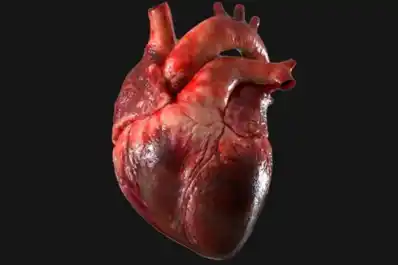 Cómo proteger tu corazón y aumentar la longevidad a cualquier edad