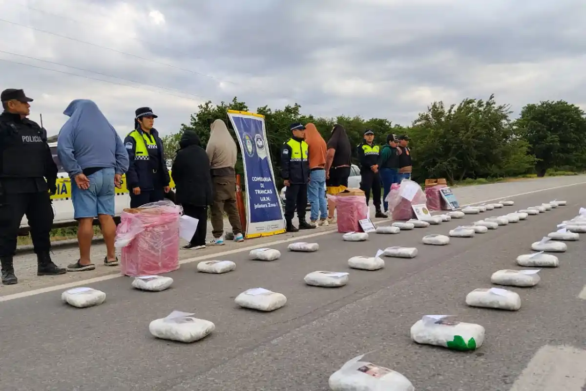Golpe al narco en Tucumán: secuestraron 60 kilogramos de marihuana y hay cinco detenidos