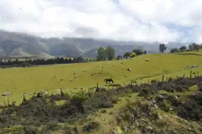 ¿Por qué en Tafí del Valle no se produce vino?