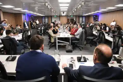 La reforma a la Ley de DNU obtuvo dictamen y quedó lista para llegar al recinto