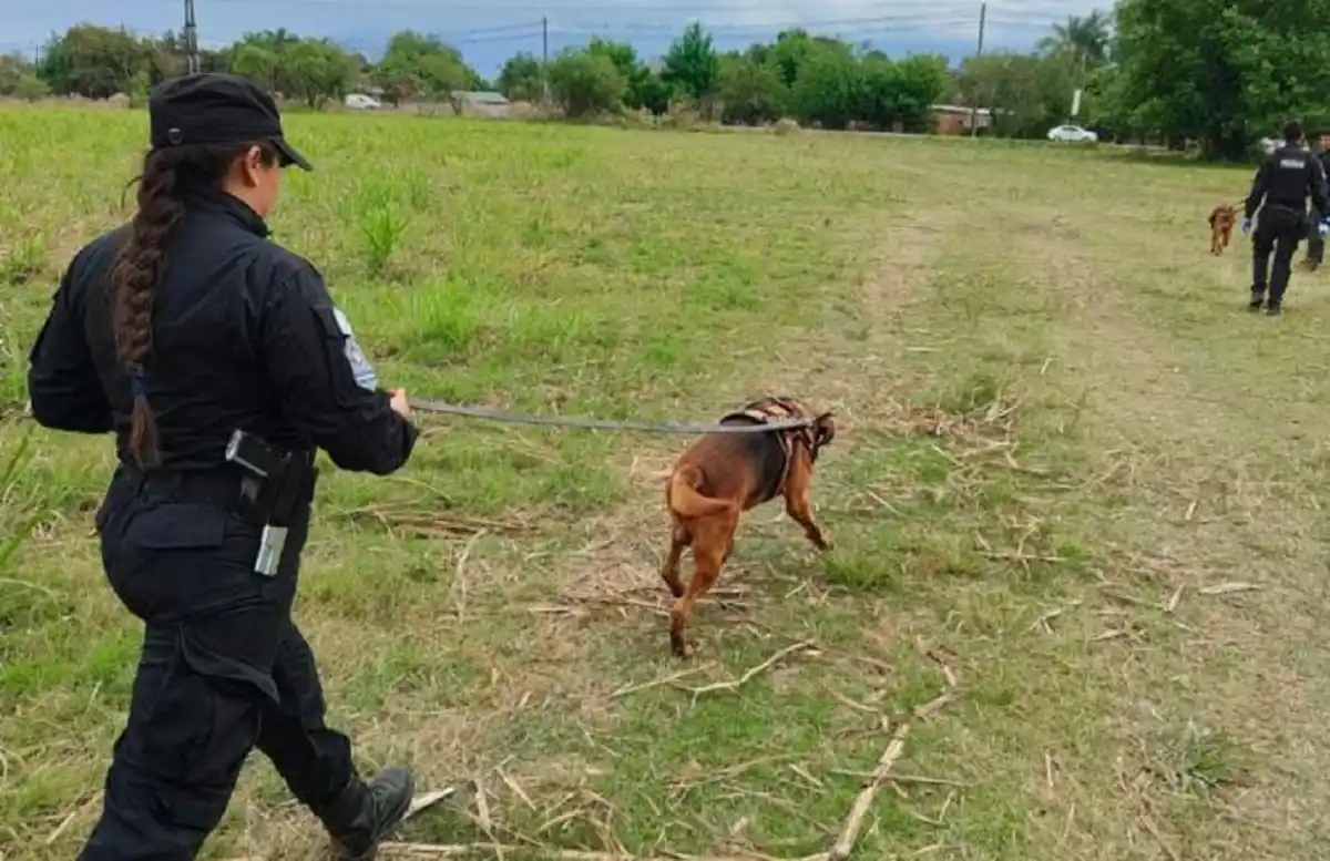 COMUNICACIÓN PÚBLICA