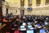 Revés para el Gobierno: el Senado rechazó los vetos a las leyes de financiamiento universitario y de fondos para el Garrahan