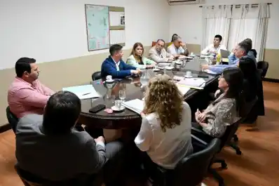 Exponen un nuevo informe ambiental en el Concejo Deliberante capitalino