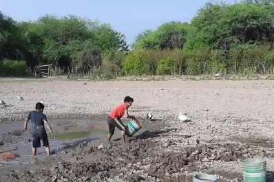 Olas de calor, sequía en el NOA e inundaciones en el NEA dibujan el nuevo mapa climático del país