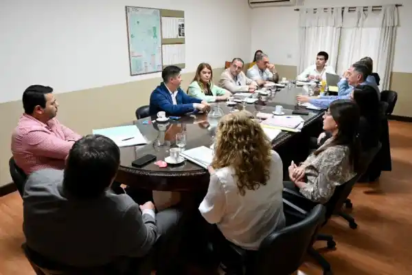 Exponen un nuevo informe ambiental en el Concejo Deliberante capitalino