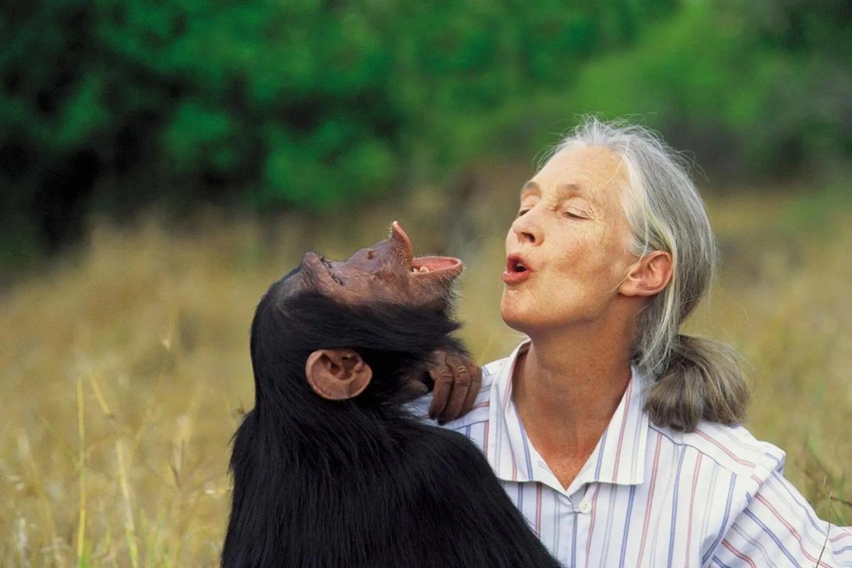 La etóloga británica Jane Goodall falleció mientras estaba en Estados Unidos.