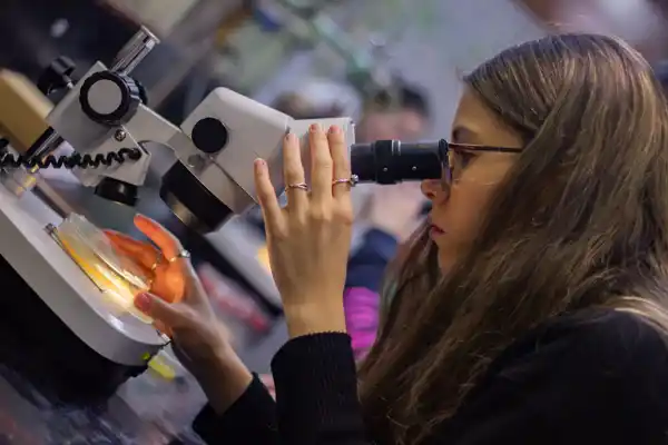 El OIEA abre el llamado para las Becas Marie Skłodowska-Curie dirigidas a mujeres de la ciencia
