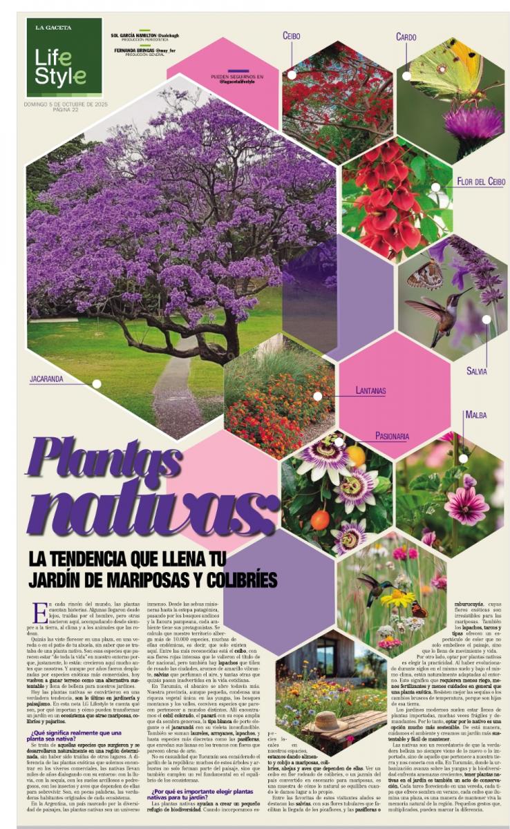 Plantas nativas: la tendencia que llena tu jardín de mariposas y colibríes