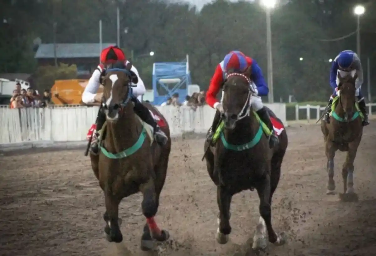 GRAN DEFINICIÓN. Hympresionante (izquierda) guapeó en la recta final para controlar a Paladín Oriental en la definición del cotejo jerárquico.