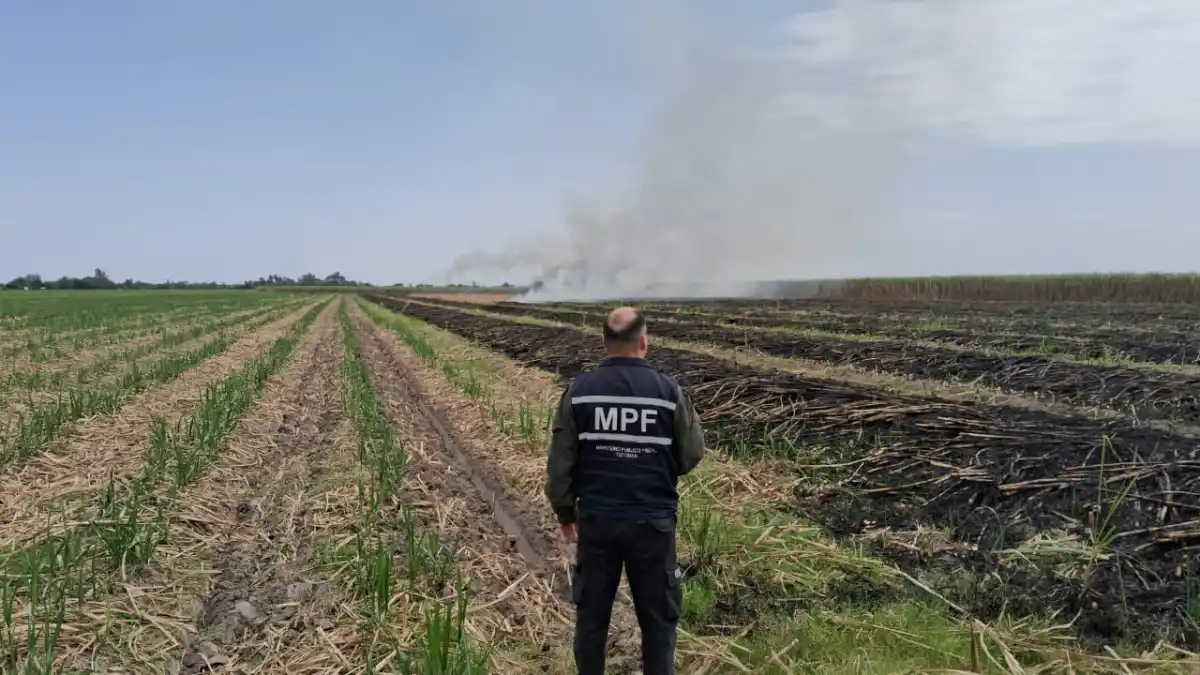 Detectan un nuevo foco de quema de caña en Bella Vista y apuntan a un sospechoso