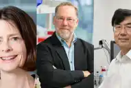 Premio Nobel de Medicina: cómo funciona la tolerancia periférica, la inteligencia oculta del sistema inmune