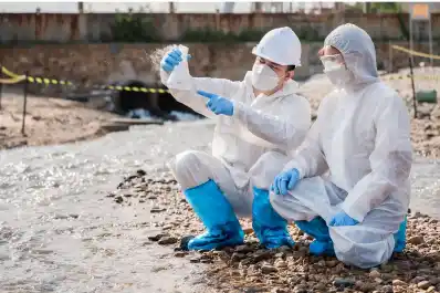 Cómo postularse a las becas de investigación que ofrece Francia para proyectos ambientales