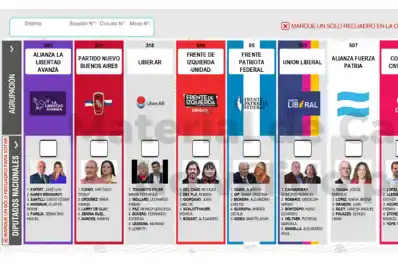 Tras la renuncia de Espert: qué pasará con las boletas impresas y cuánto le costaría al Estado reemplazarlas