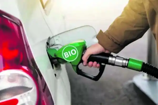 Motores flex en la Argentina: una medida nacional que ilusiona a los productores de bioetanol