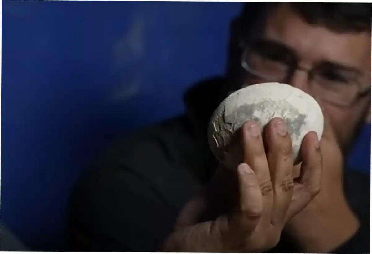 Científicos dle CONICET mostraron en su streaming el histórico hallazgo.