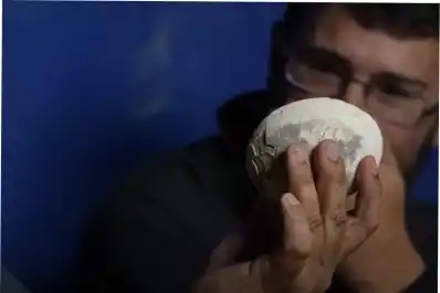 “Nunca vimos algo así”: científicos del Conicet hallaron un huevo de dinosaurio carnívoro en perfecto estado