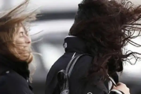 Rigen alertas amarillas por vientos intensos en cinco provincias: ráfagas de hasta 75 km/h