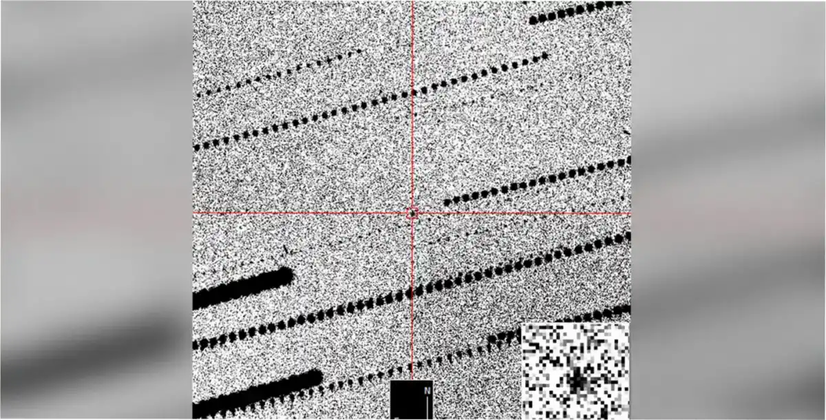 El asteroide 2025 TF pasó a solo 428 kilómetros de la superficie terrestre, más cerca que la órbita habitual de la Estación Espacial Internacional.Imagen: Las Cumbres Observatory/ESA/DW News